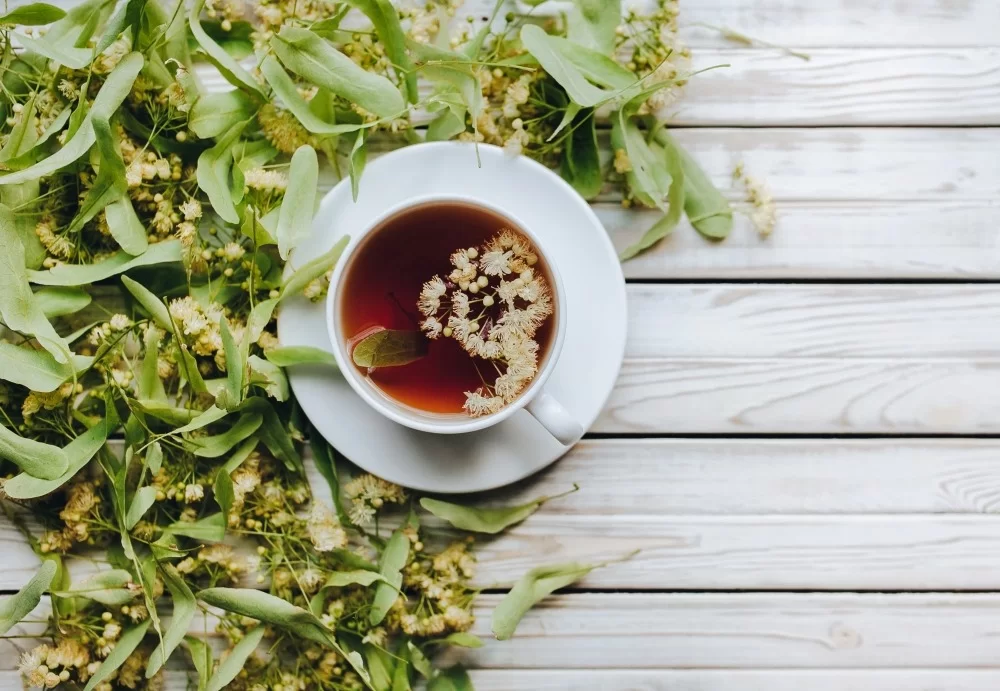 Ceaiul de tei: beneficii și contraindicații